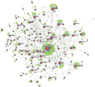 Weighted gene co-expression network analysis identifies key hub genes and pathways in acute myeloid leukemia